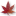 紅葉したモミジバフウの葉01（白い背景付き） †SbWebs†